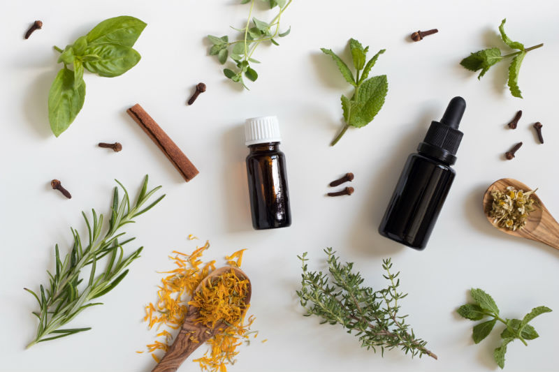 Essential Oils: Safe Use Around Pets - Aylmer Veterinary Clinic